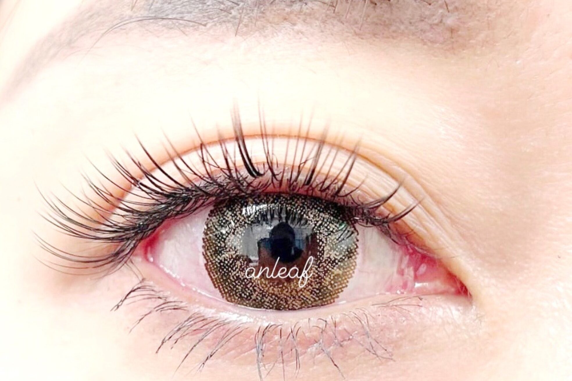 アンリーフ高田馬場店(an leaf)3