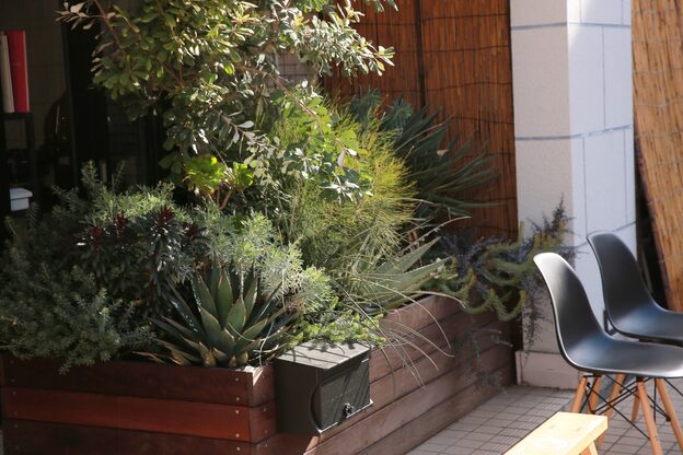 アルゴ 茅ヶ崎(ARUGO)2