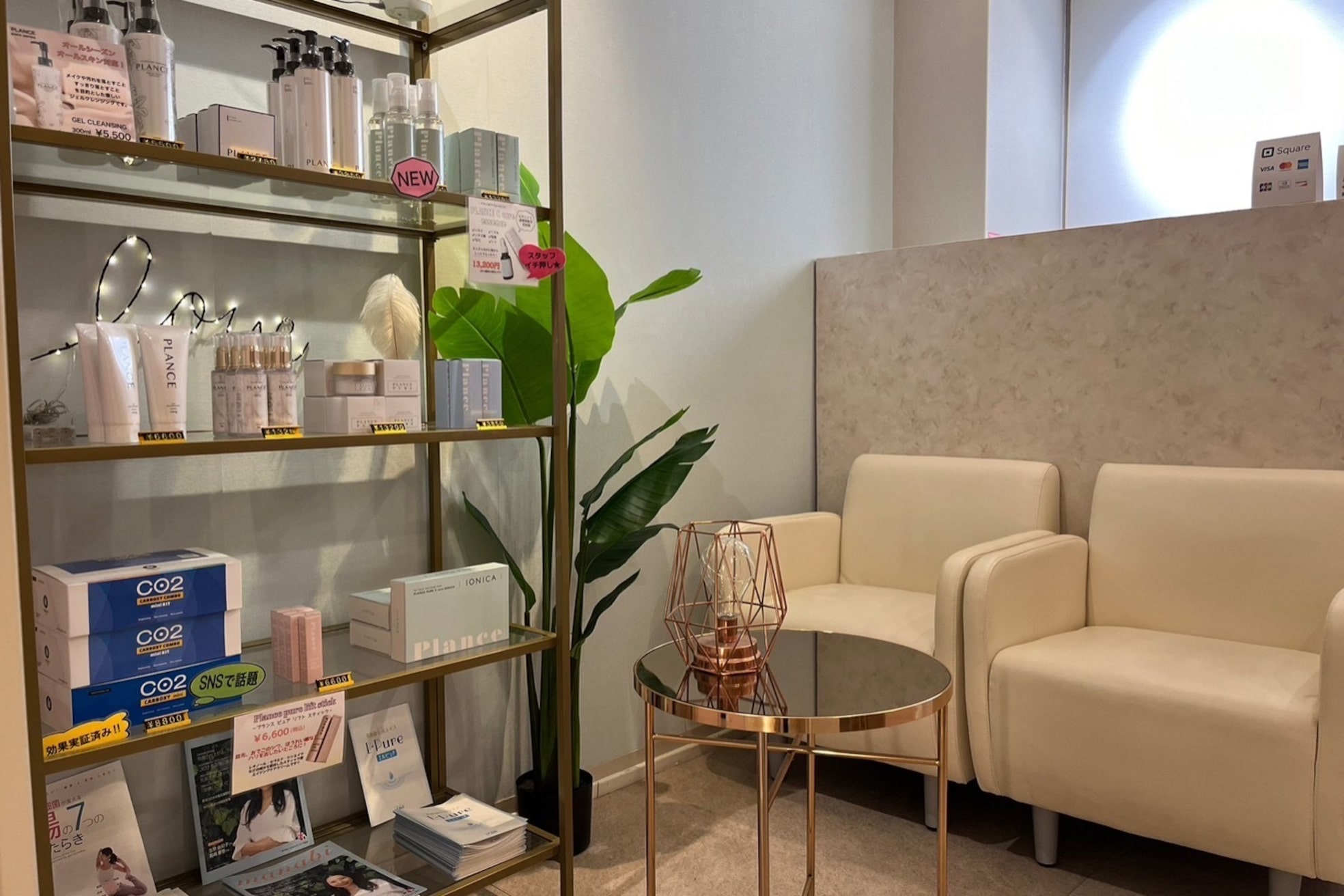 プランス 恵比寿店(PLANCE)1