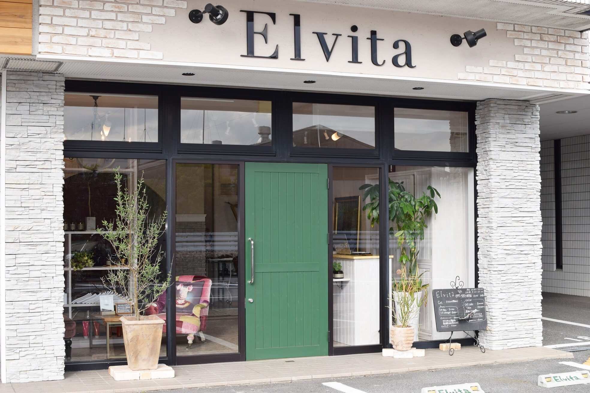 エルヴィータ(Elvita)2