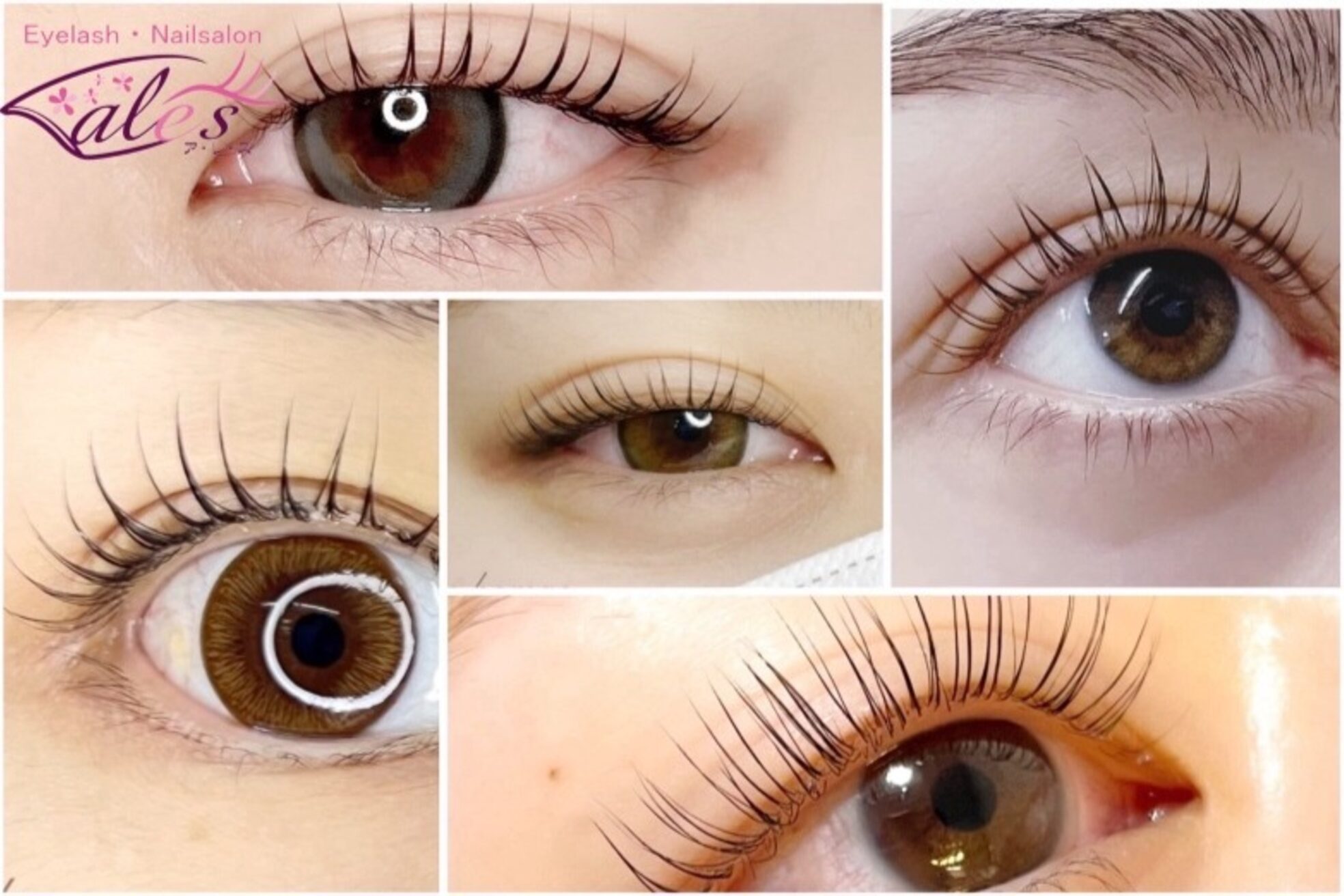 アレス 狛江店(ales)5