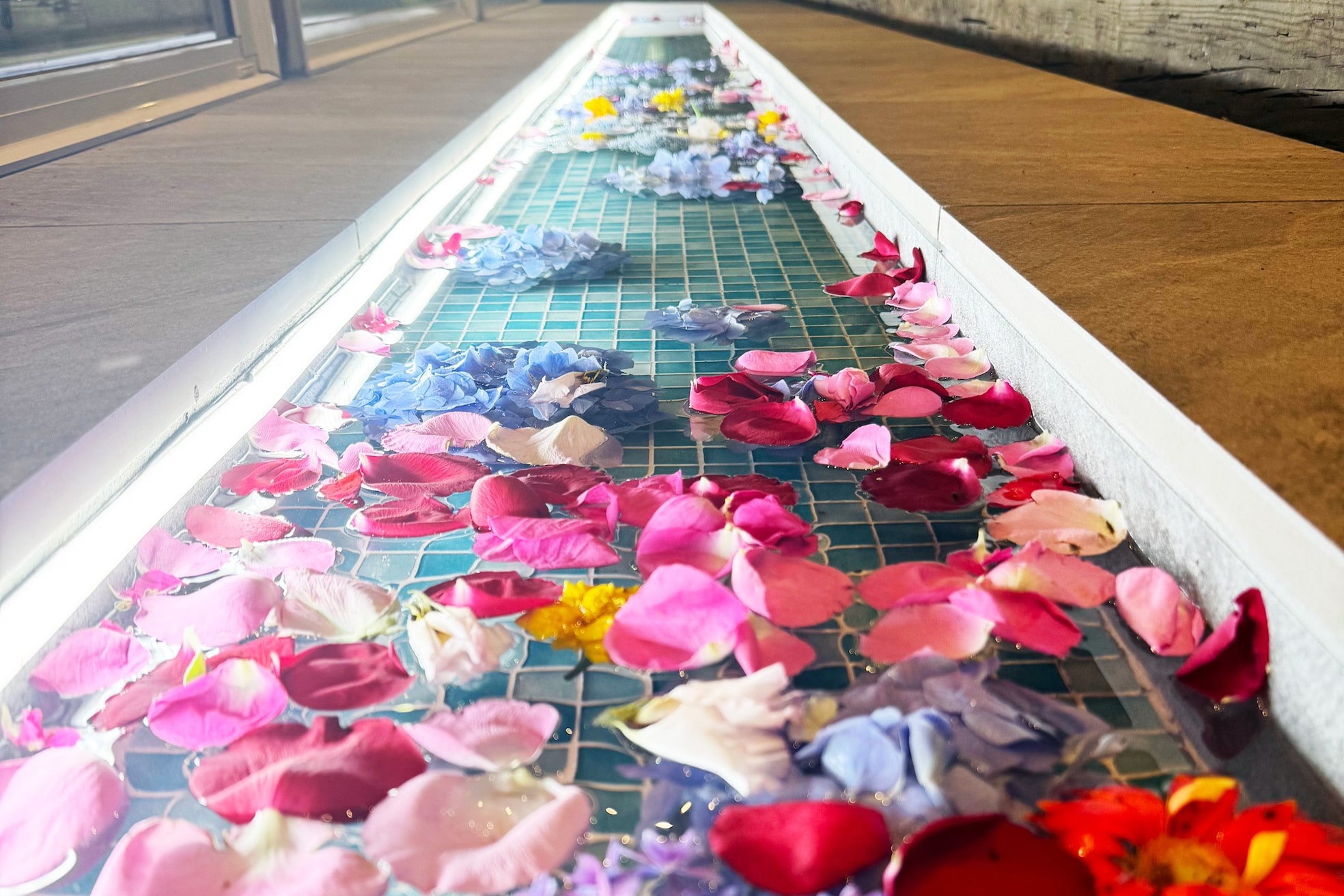 プシュウ(PUSHW)5