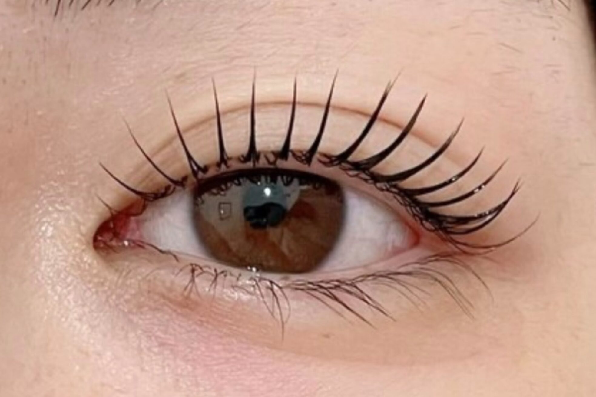 ジョリハウス(Jolie House)3