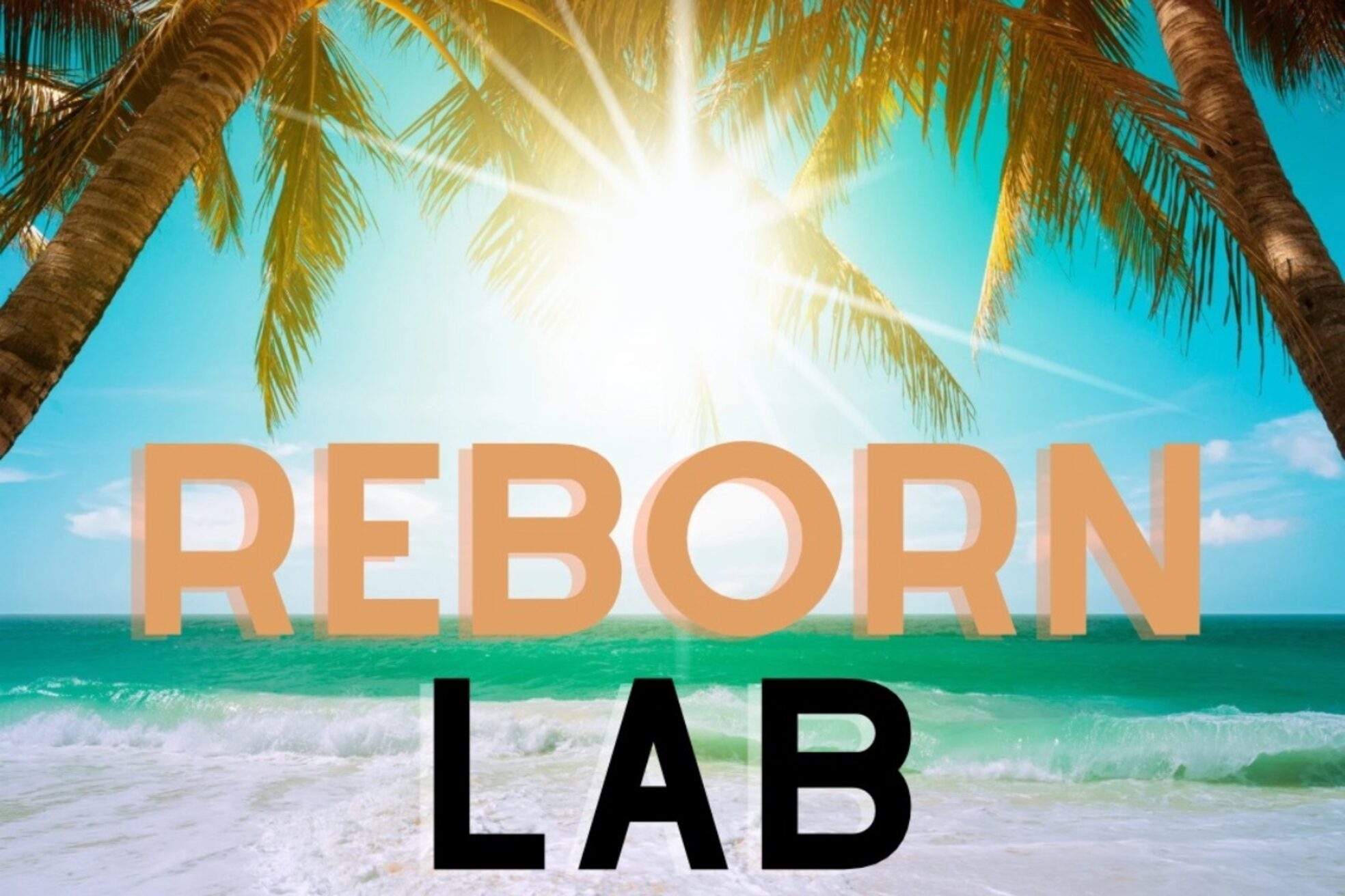 リボーンラボ(ReBorn Lab)1
