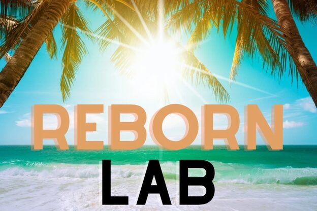 リボーンラボ(ReBorn Lab)1