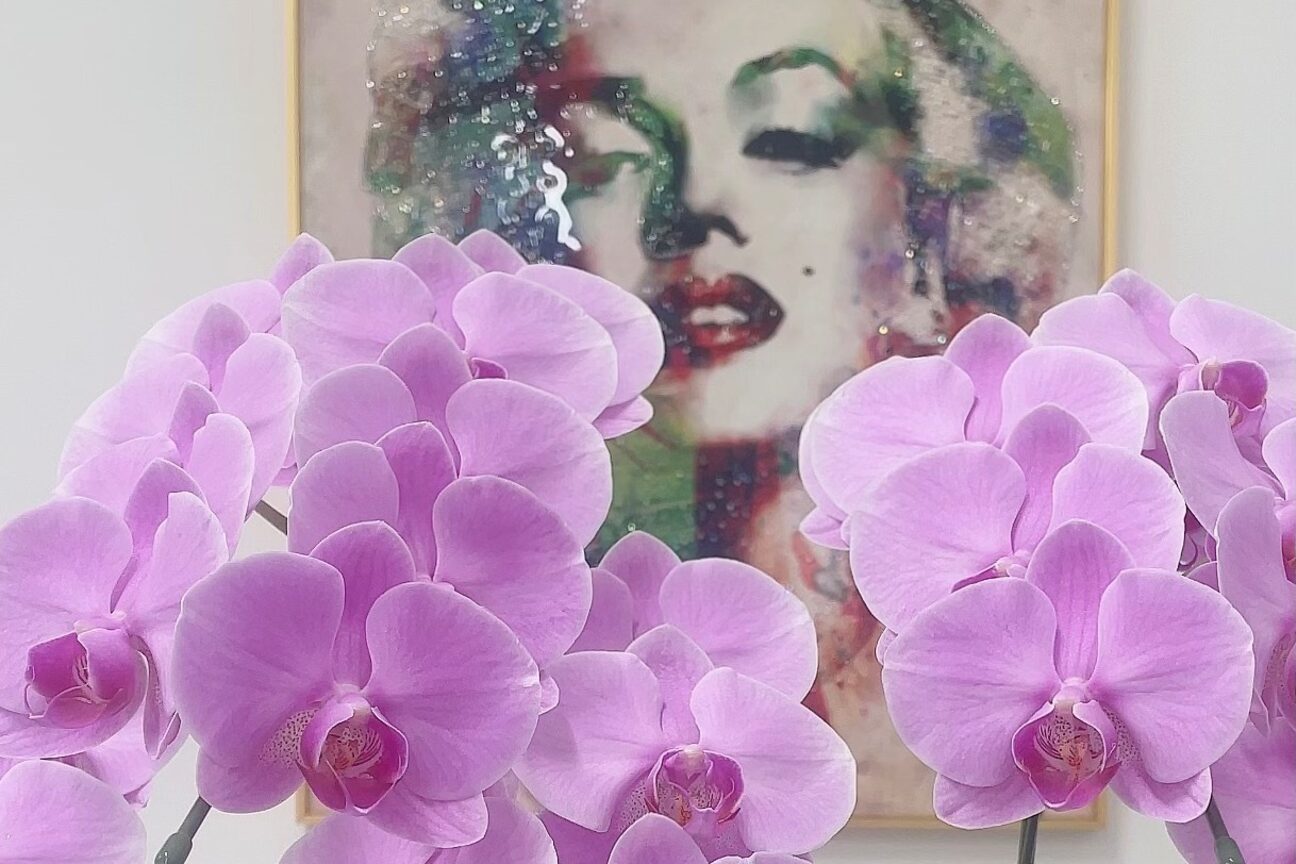 Ｂｅａｕｔｙ　Ｓａｌｏｎ　＆画像1