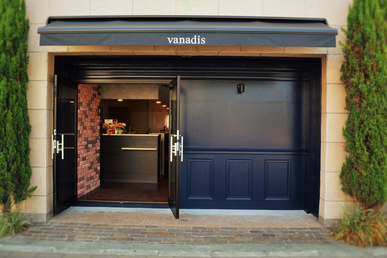 vanadis(vanadis)画像1