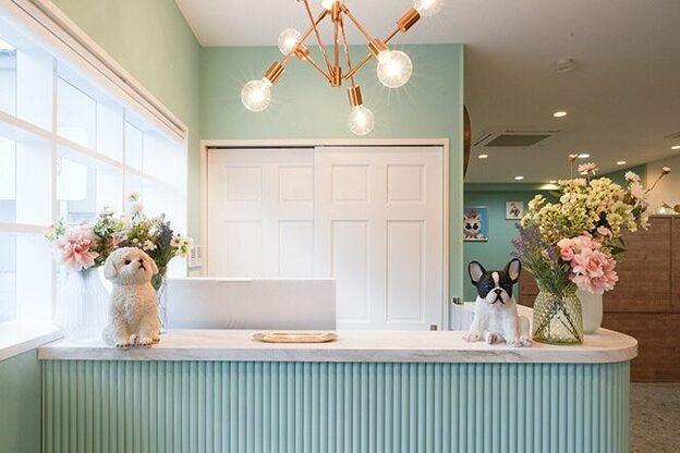 アンフィ 淵野辺(Anphi)4