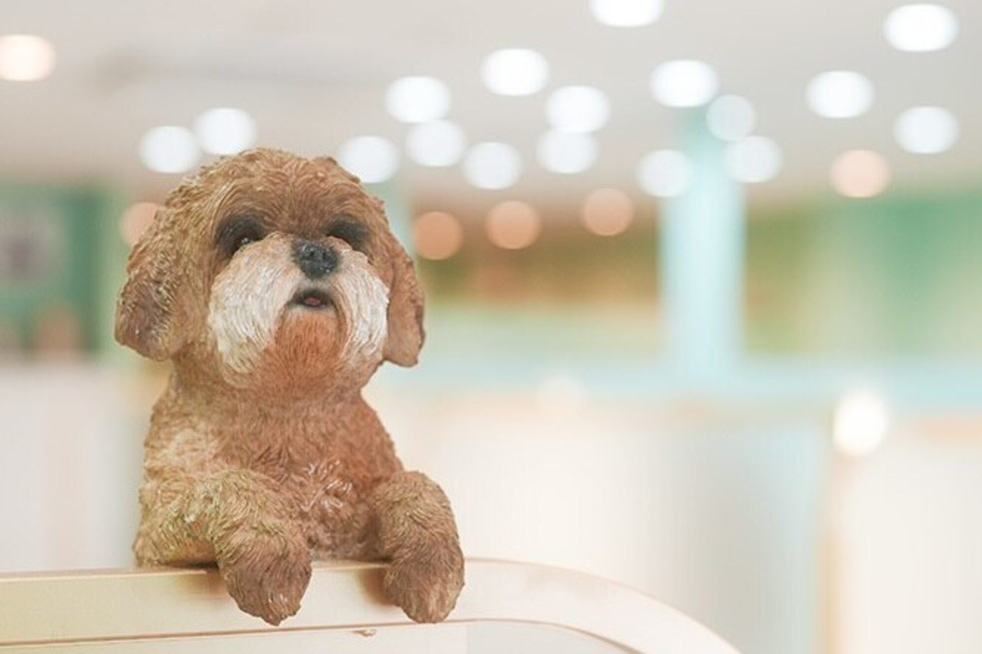 アンフィ 淵野辺(Anphi)7