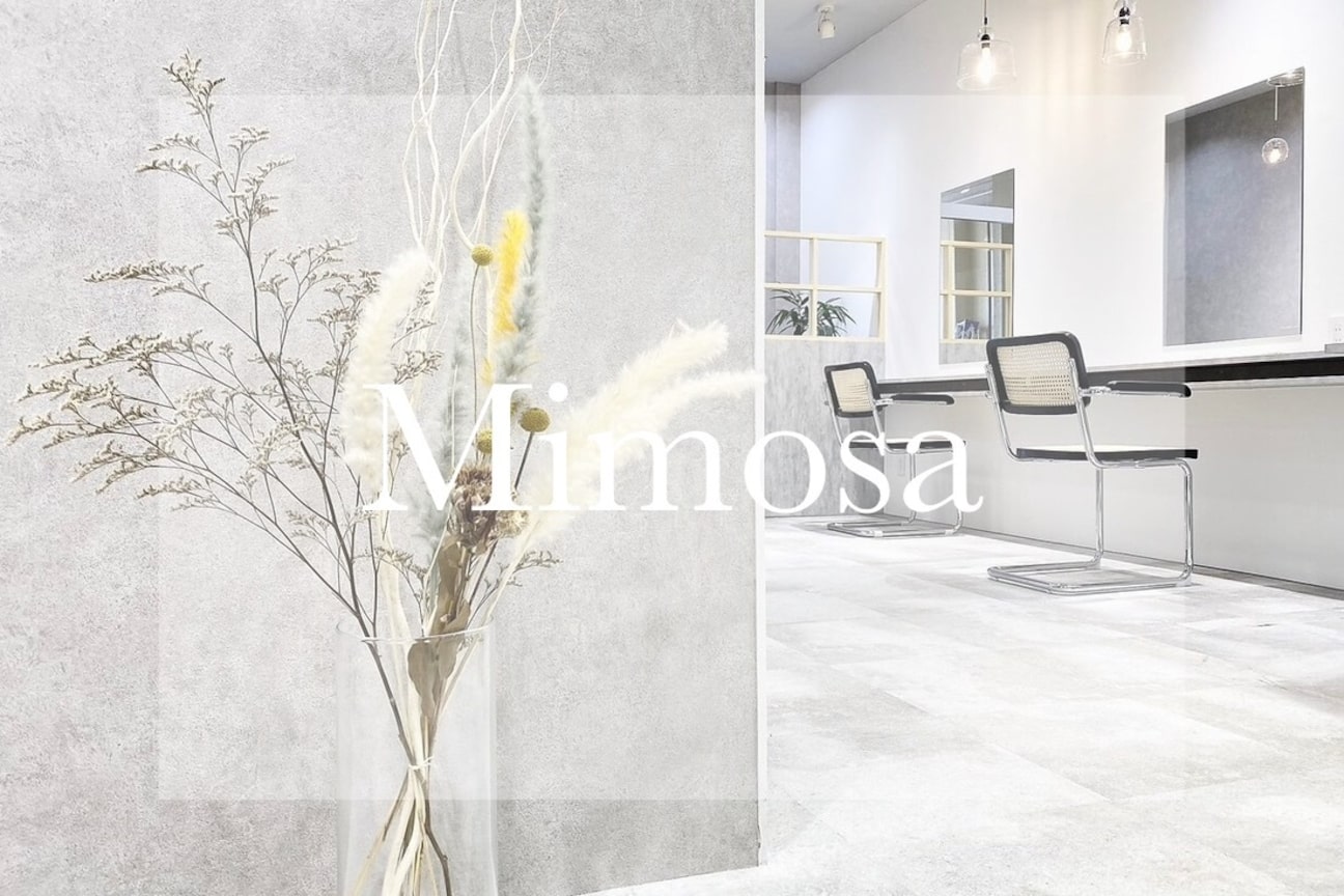 ミモザ(Mimosa)1