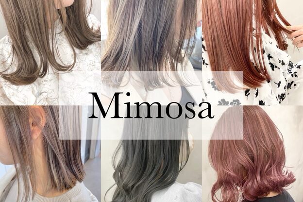 ミモザ(Mimosa)2