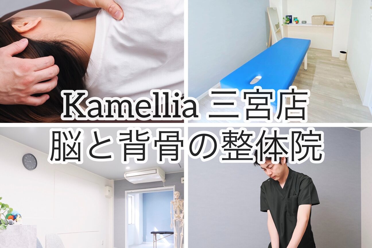 キャメリア(Kamellia)4