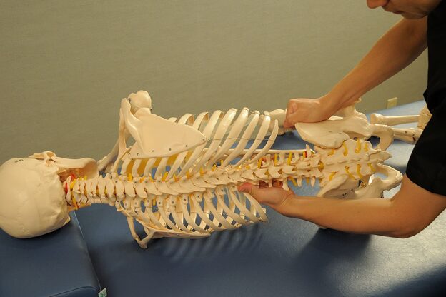 キャメリア(Kamellia)13