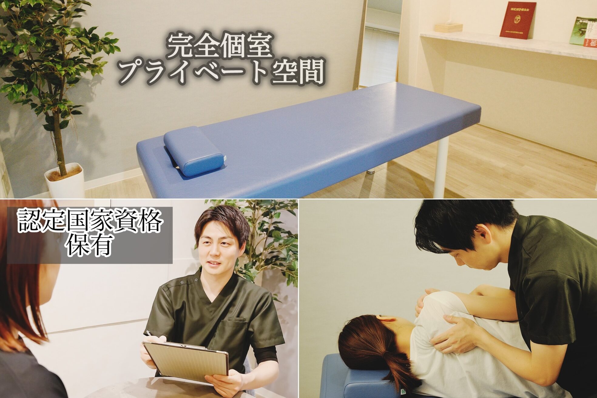 キャメリア(Kamellia)10