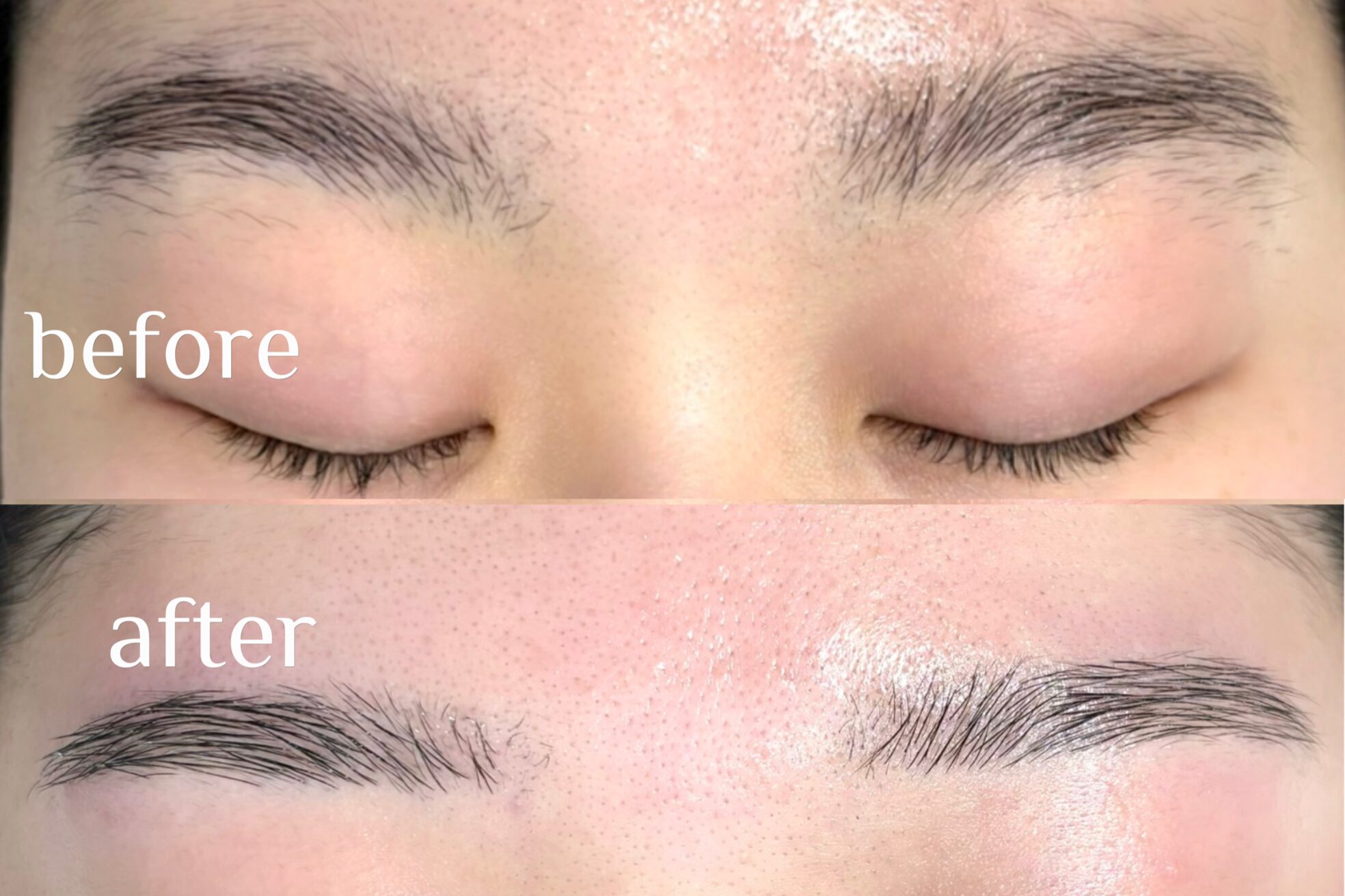 マイア 西新井(maia)14