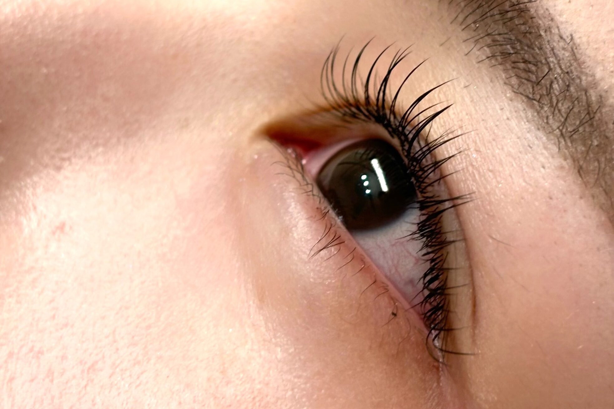 マイア 西新井(maia)7