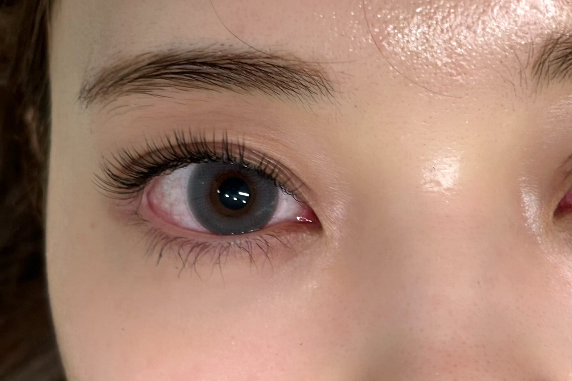 マイア 西新井(maia)12