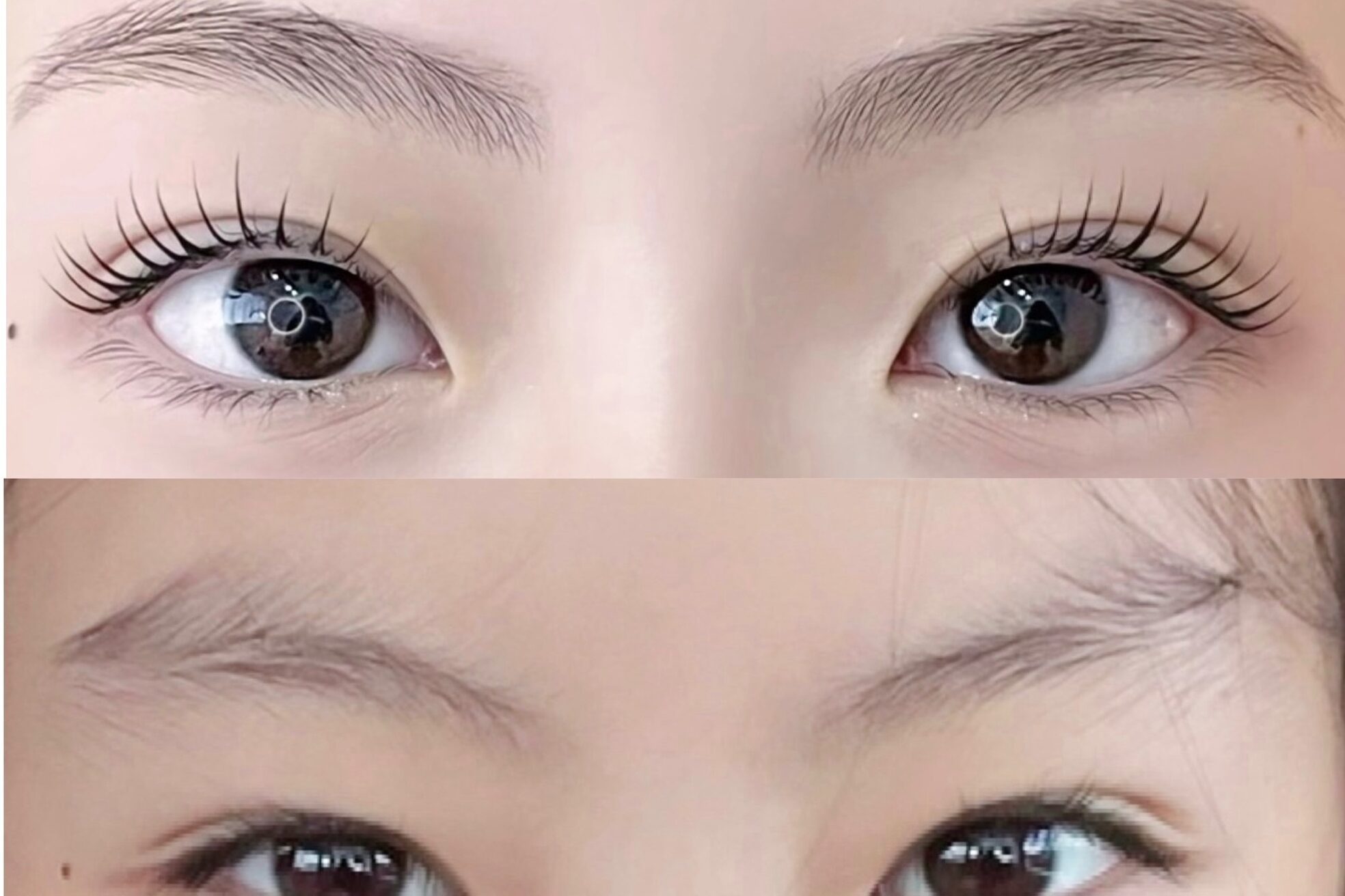 マイア 西新井(maia)8