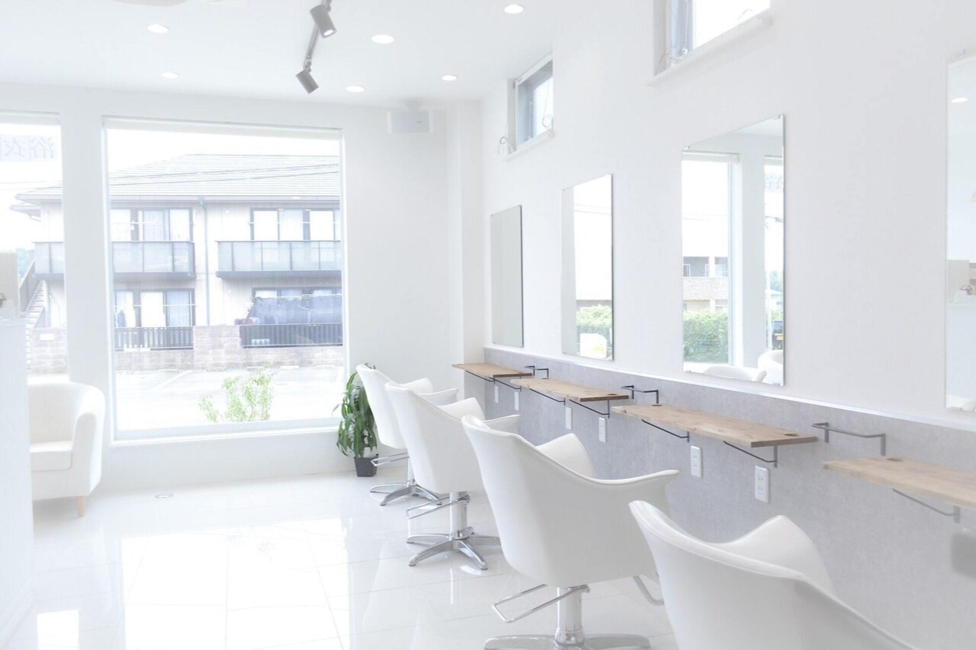 ヴァイラル(VIRAL)1