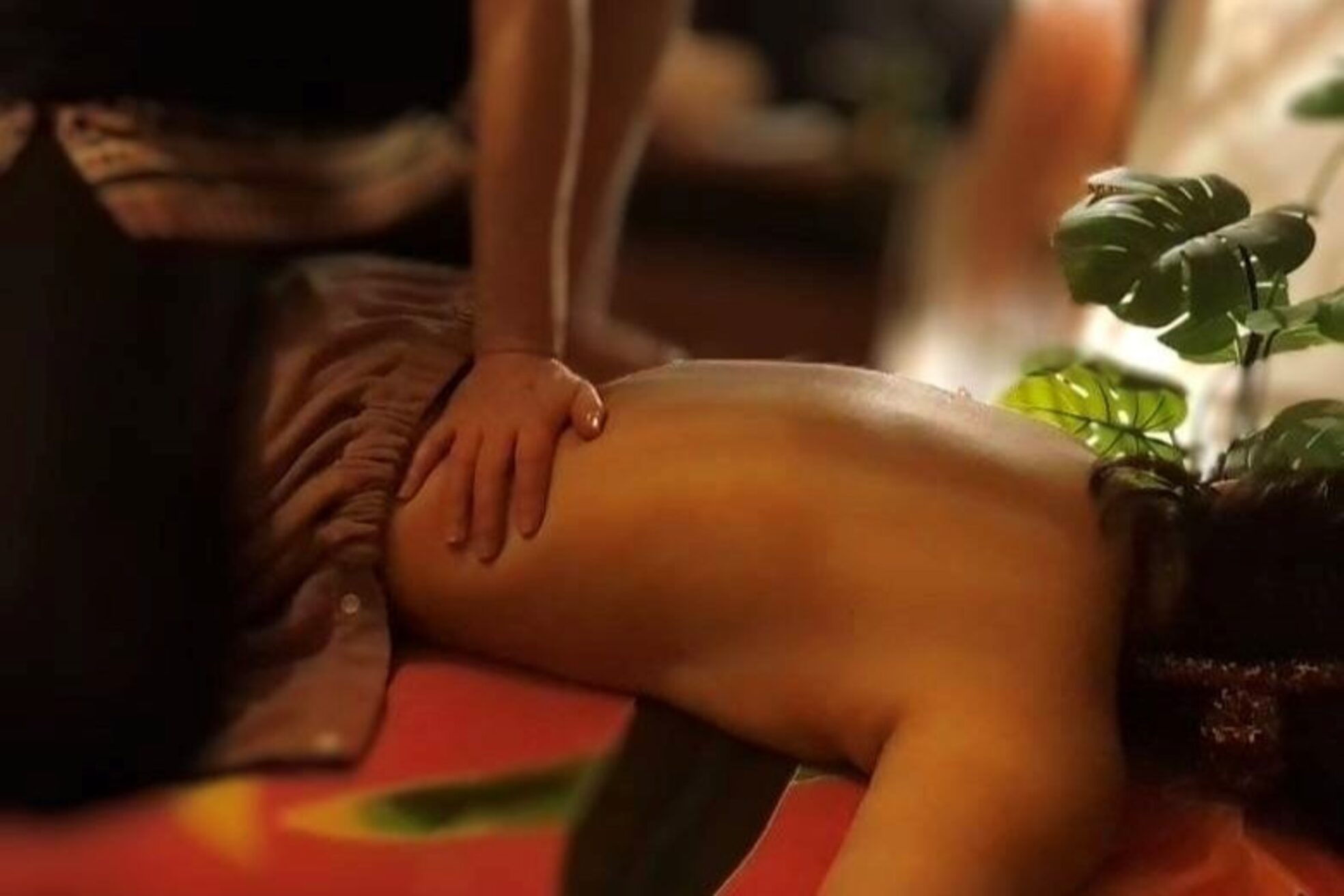 セレニティ(serenity)9