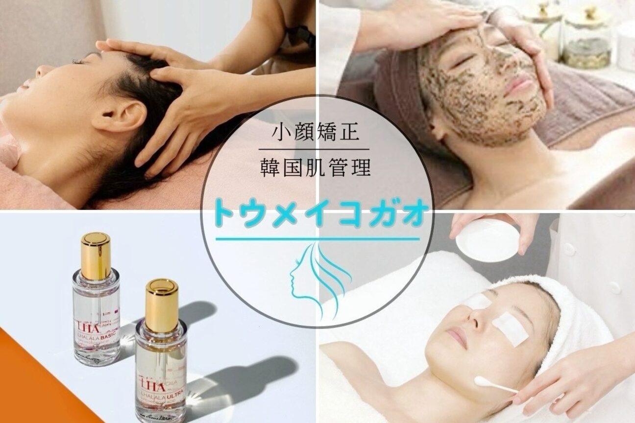 トウメイコガオ（株式会社　ビードッツ）画像1