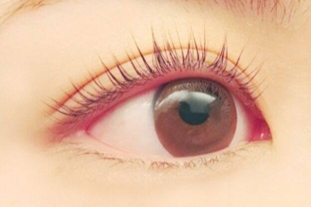 フォルビート(Forbito)2