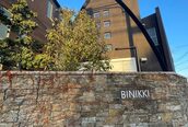 ビニッキ(BINIKKI)