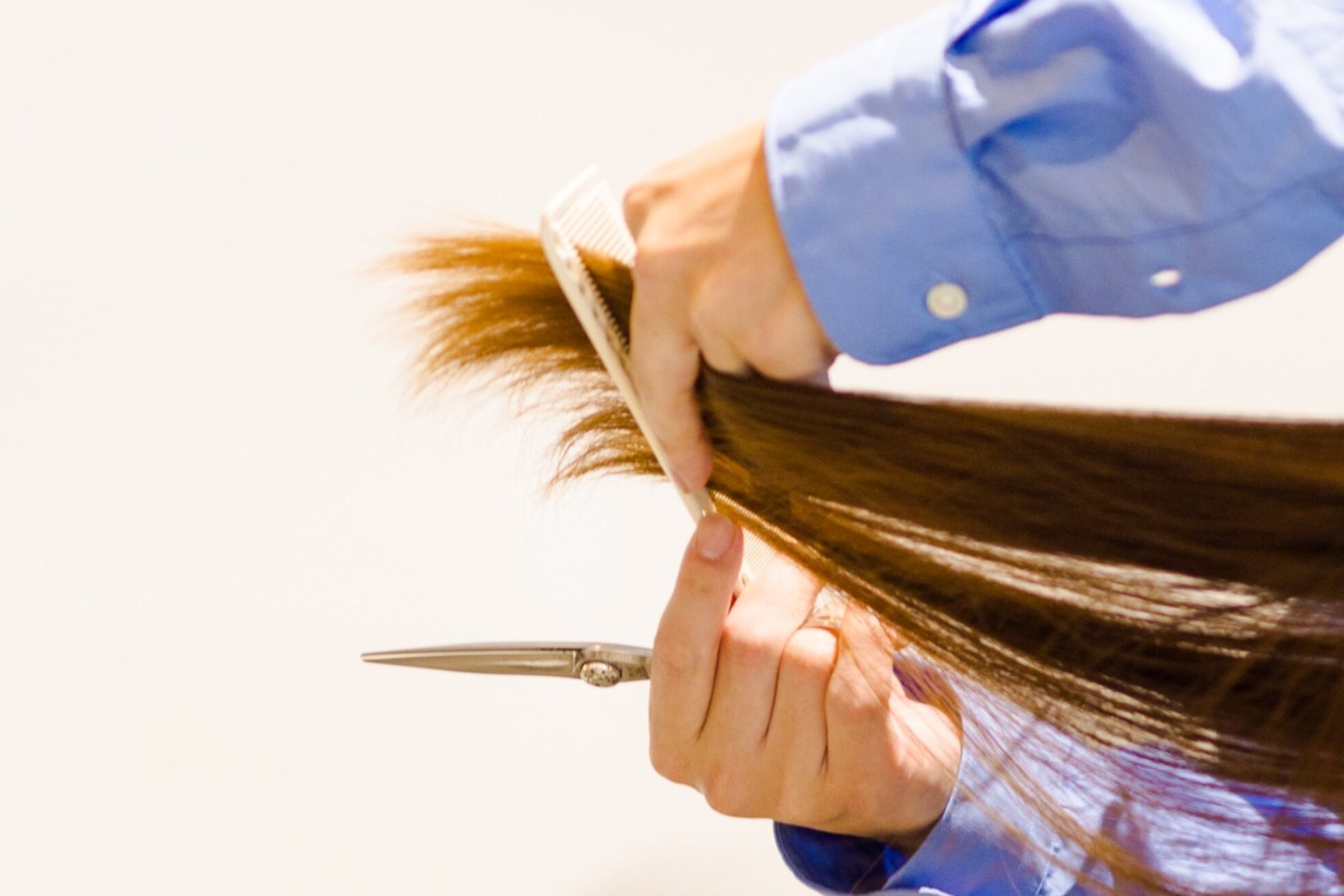 アルフレッド 桜本町店(alfRed)3