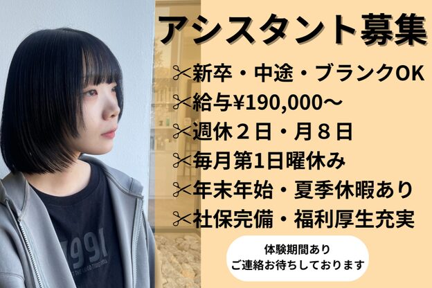 アーティック ヘア ディーヴァディーヴォ エイル(ARTIC HAIR DIVA DIVO Ailes)1