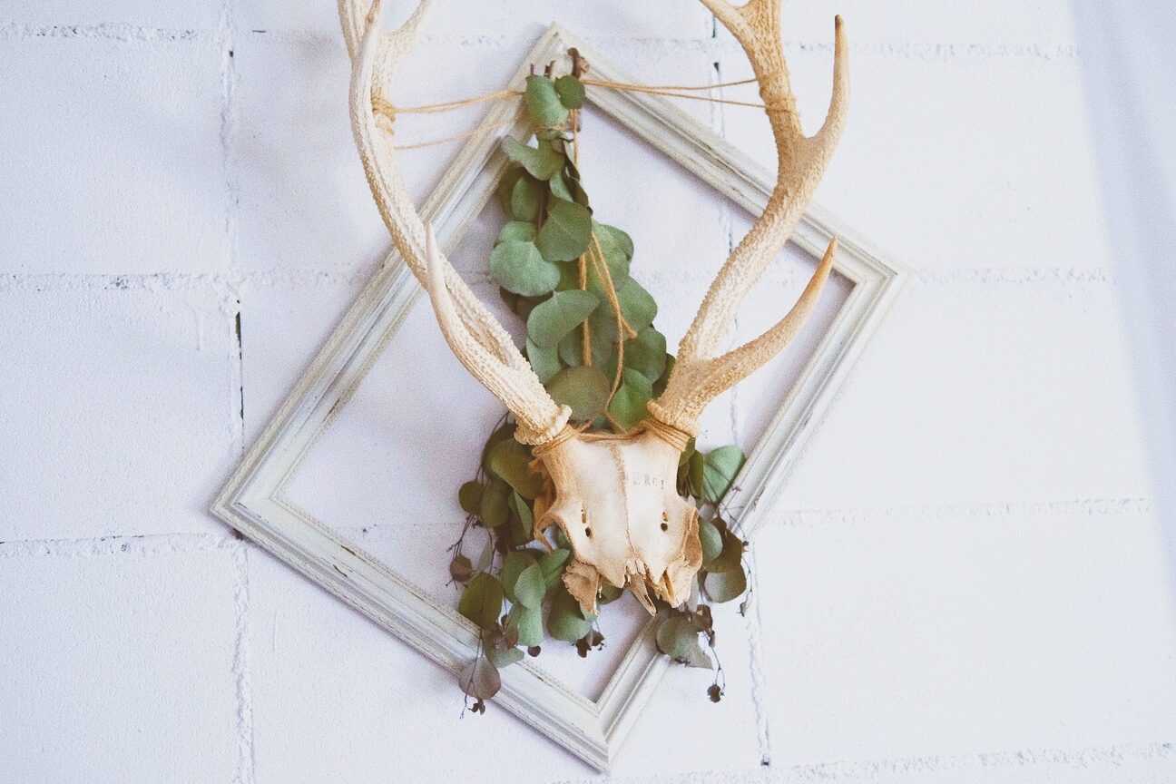 ラブリカ(lovelica)4