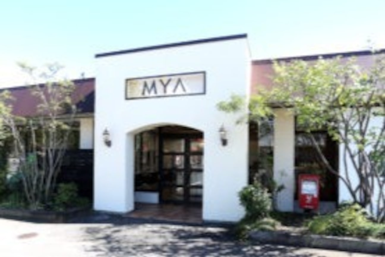 有限会社 エム・ワイ・エー画像1