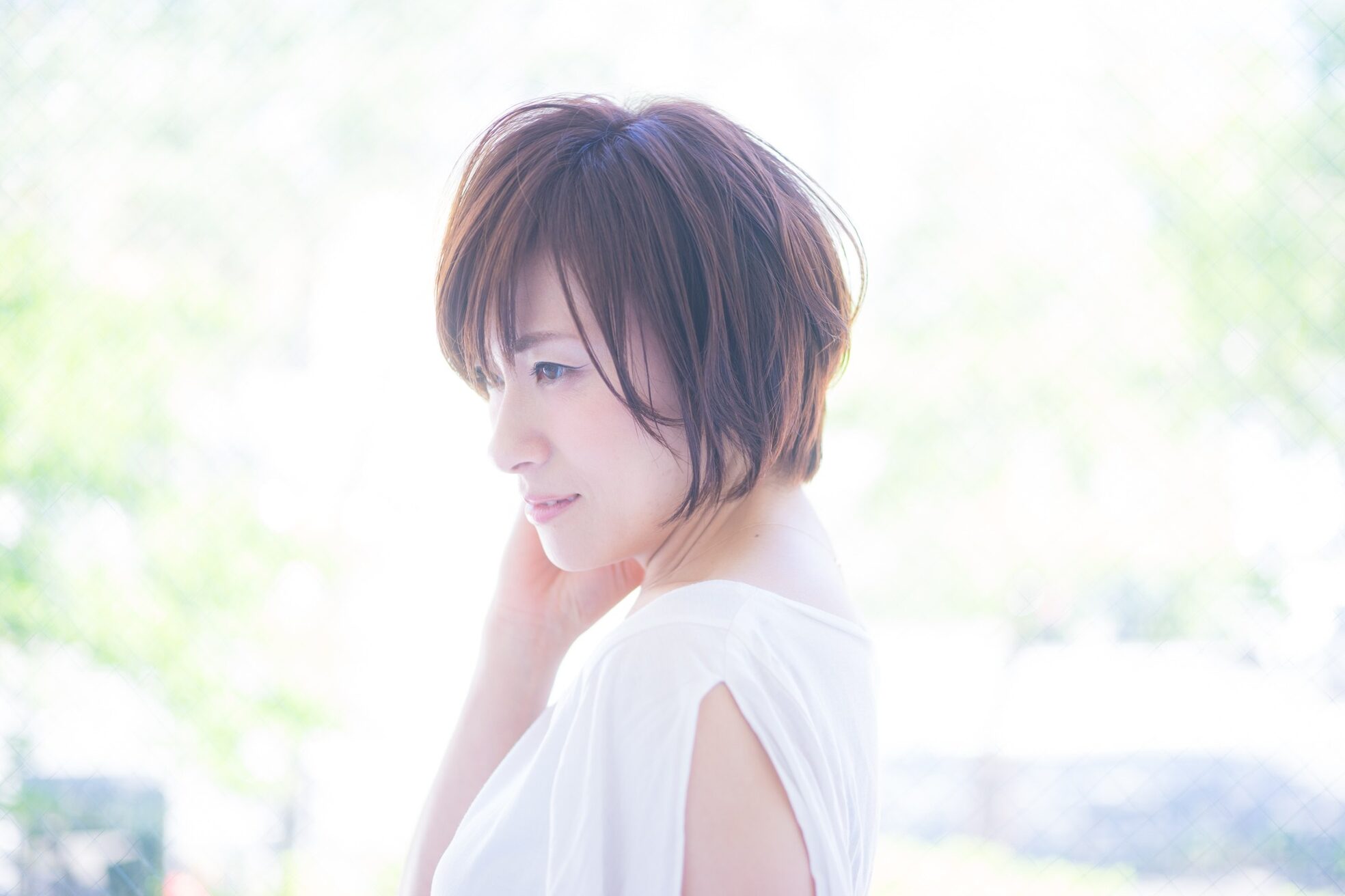 ブリック(BRICK)8