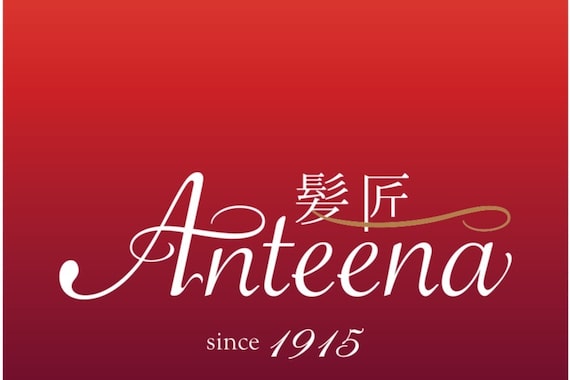 髪匠アンティーナ(髪匠Anteena)