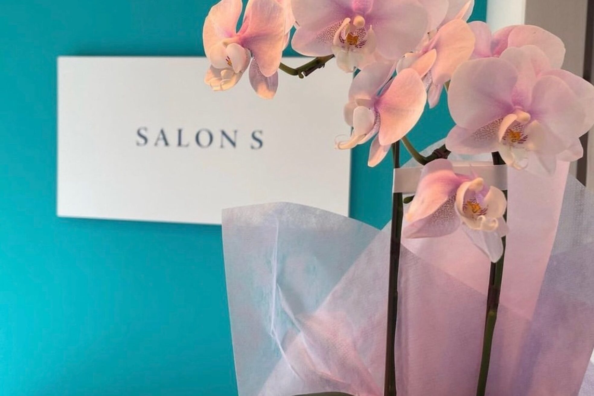 サロン エス(SALON S)1