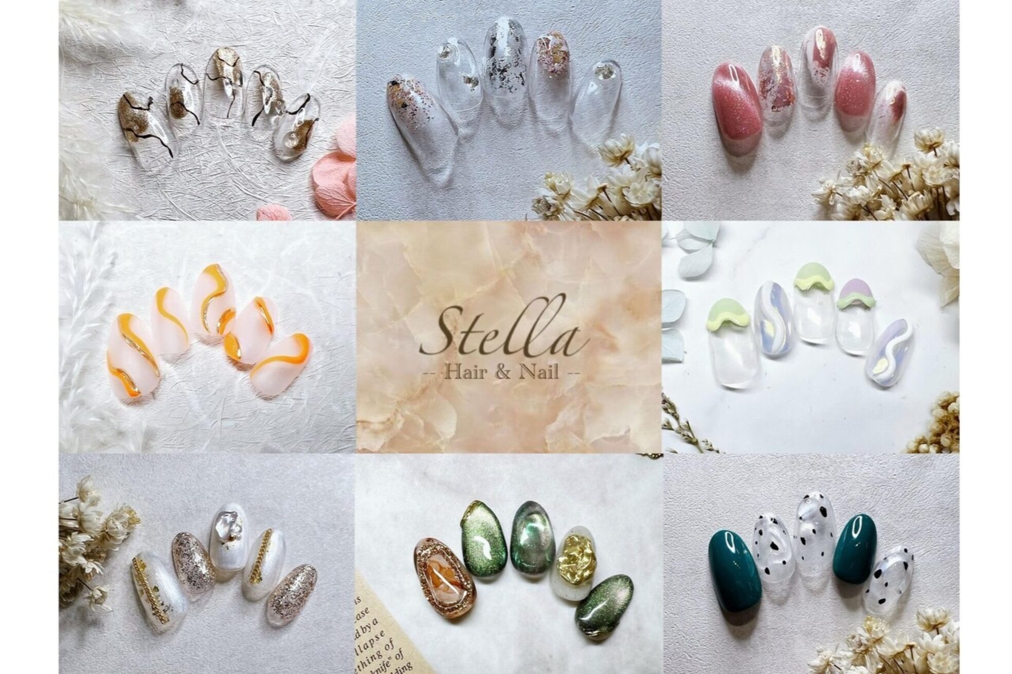 ステラ(Stella)2