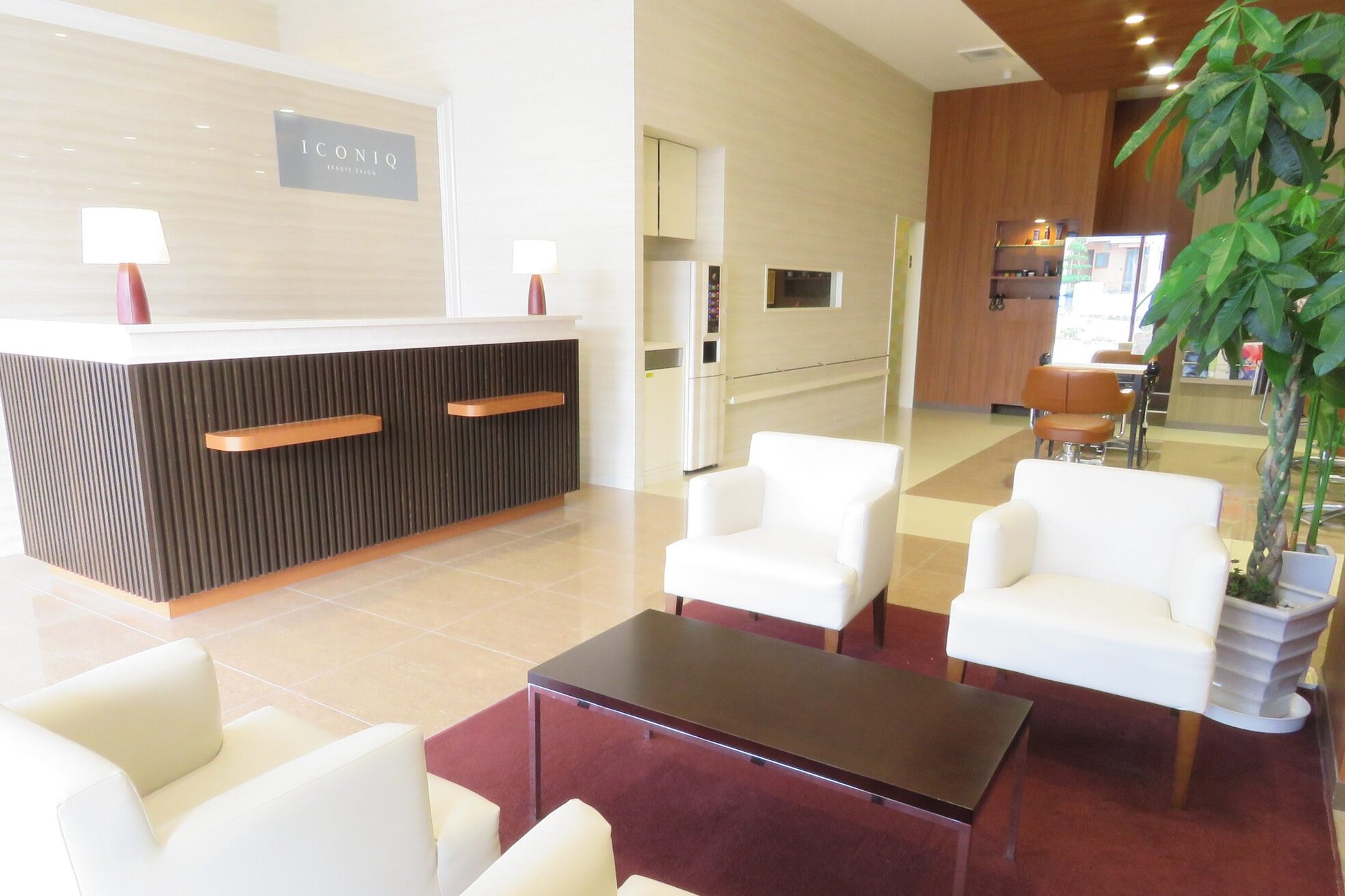 アイコニック(ICONIQ)6