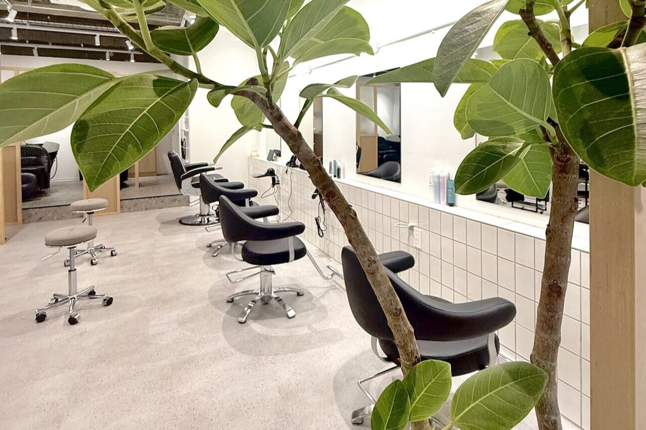 株式会社　ｙ，ｐｌａｎ画像1