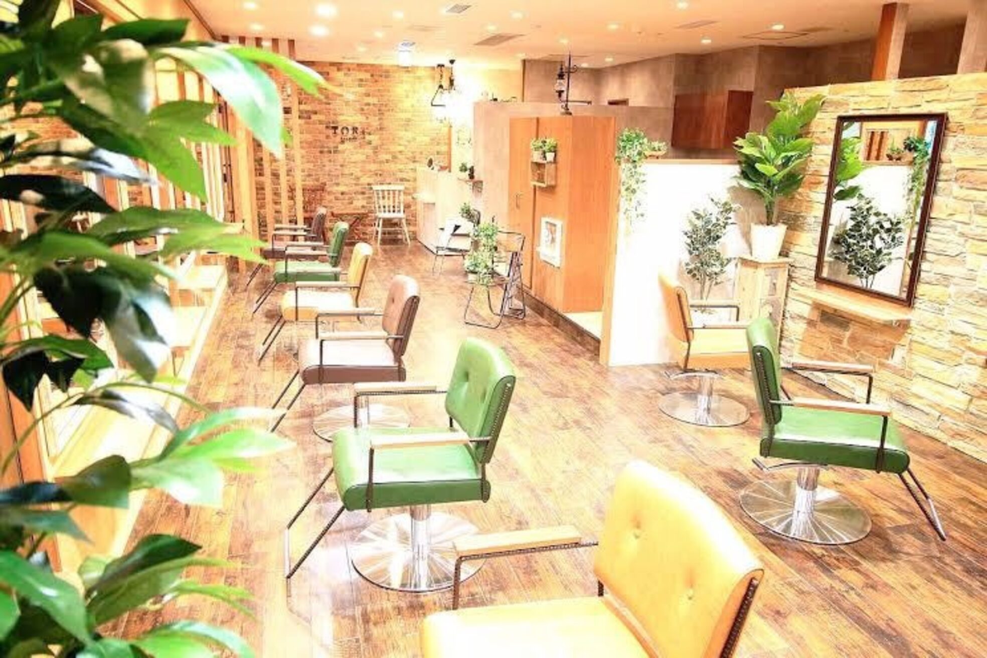 トリ 六甲道店(TORi)3