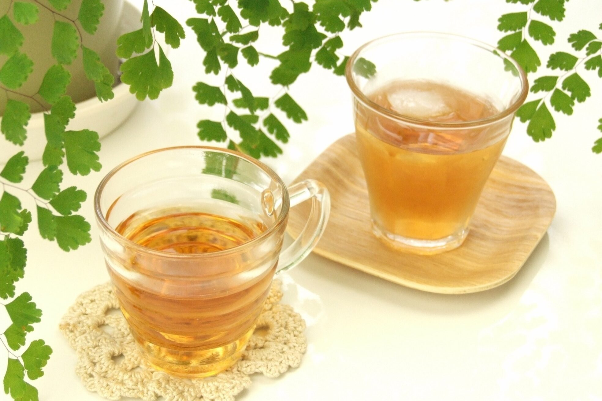 ロンロン 日吉店(RONRON)12