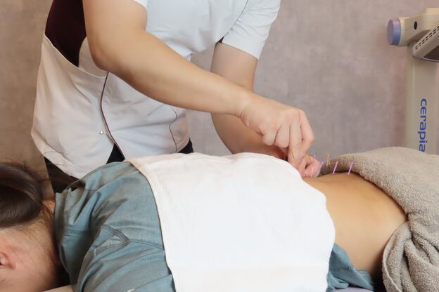 レコフィット(Recofit)6