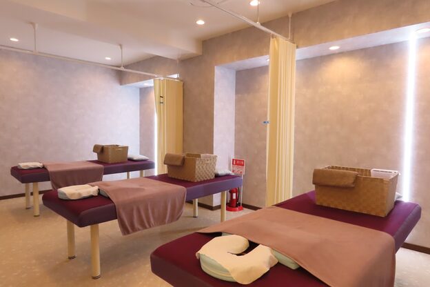 レコフィット(Recofit)3