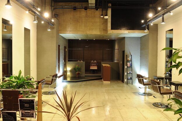 クレメント サロン ブル(Clement Salon Bull)1