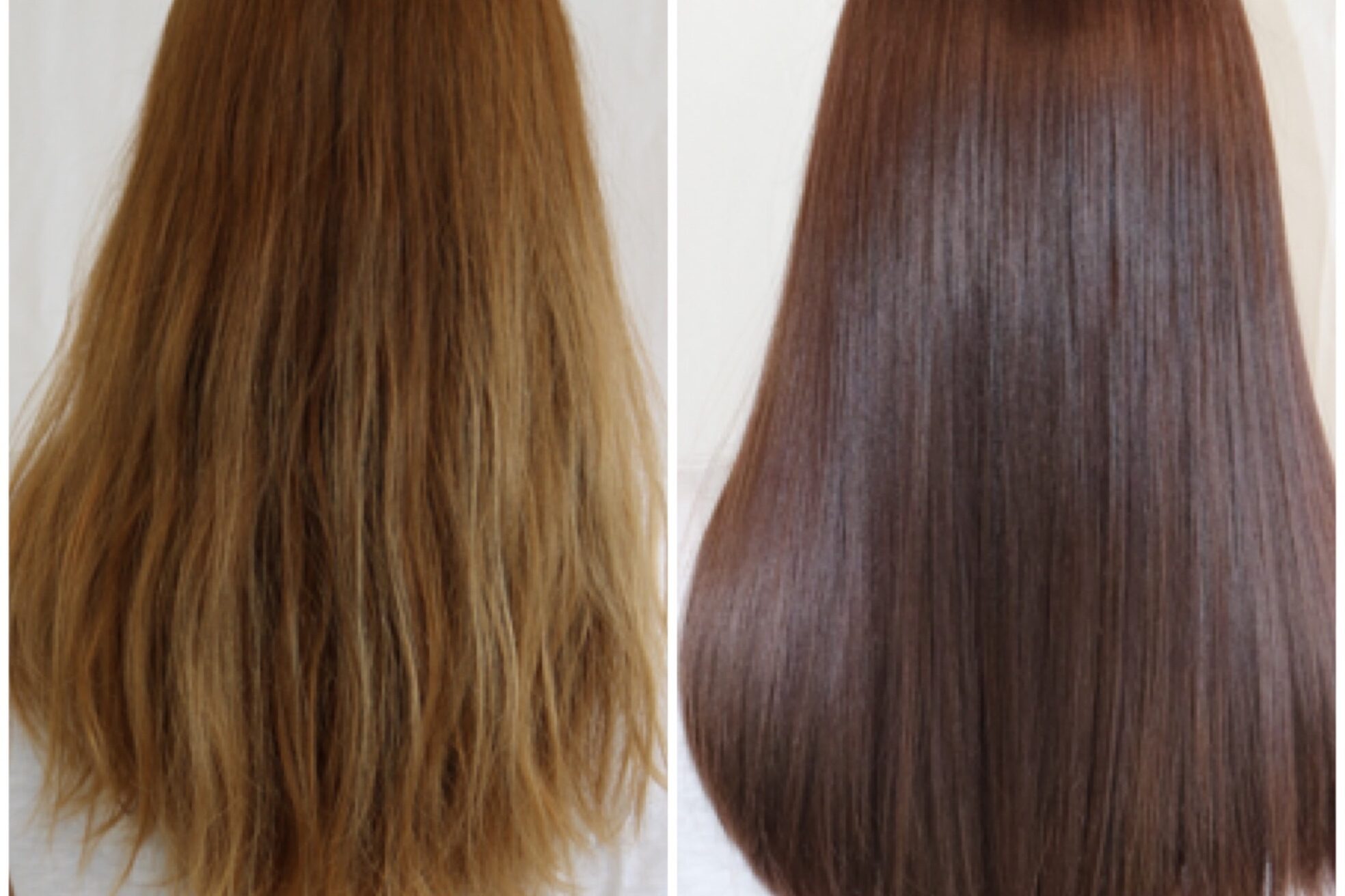 アンカー ラウレア(ANCHOR laule'a)15