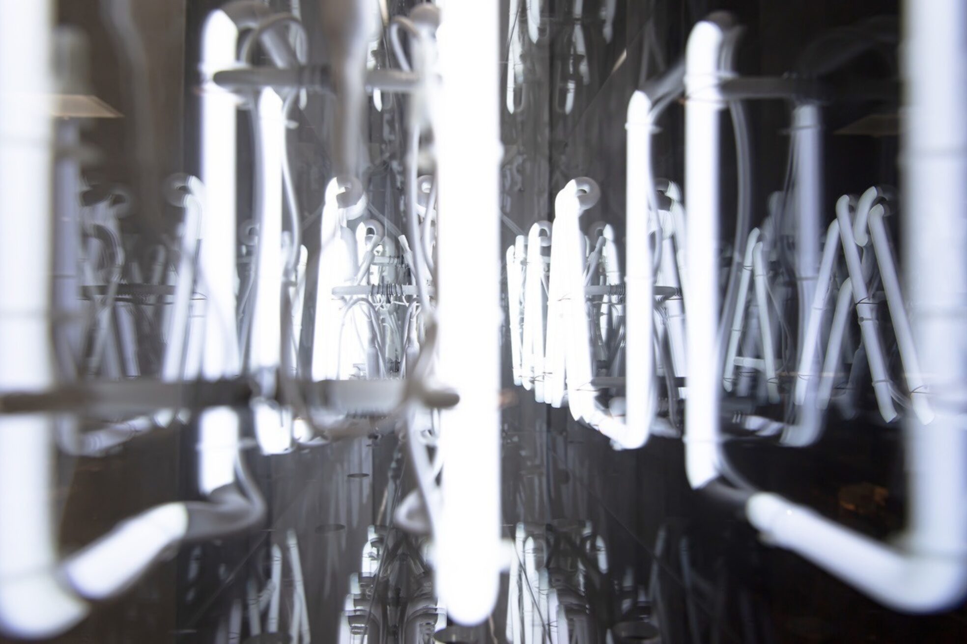 リルメイ(LILMAY)7