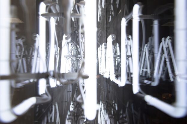 リルメイ(LILMAY)7