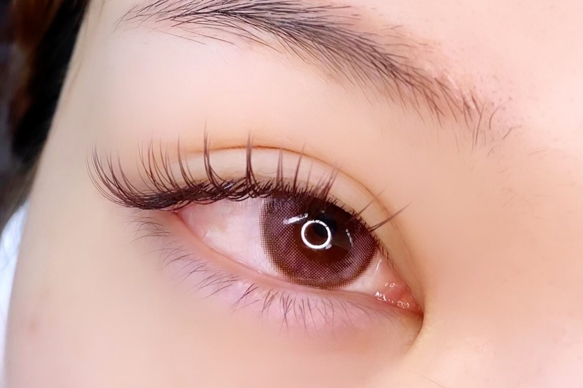 フェリス(Feliz)5