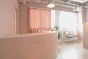 ユッカヨファ 淡路(YUCCA yofa)