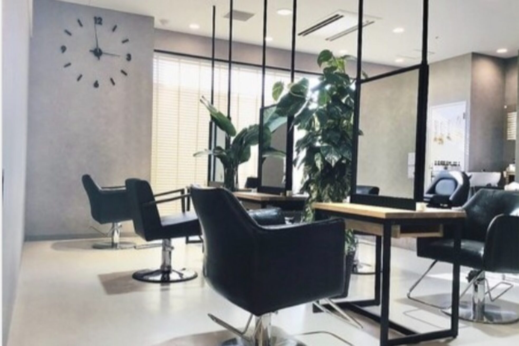 バレンヌ(Baleine)1