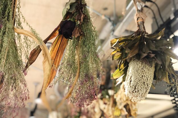 リュッカ(Lyuck)3