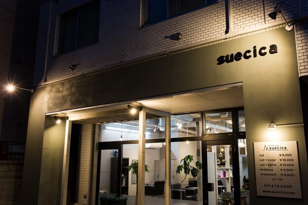 スエシカ(hair&foliage suecica)3